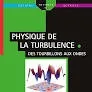 Physique de la turbulence, des tourbillons aux ondes vignette